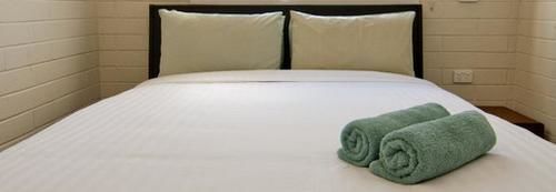 Hostel Kangaroo *