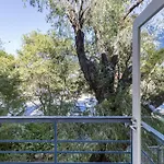 Cottesloe Tree Top Studio - Executive Escapes