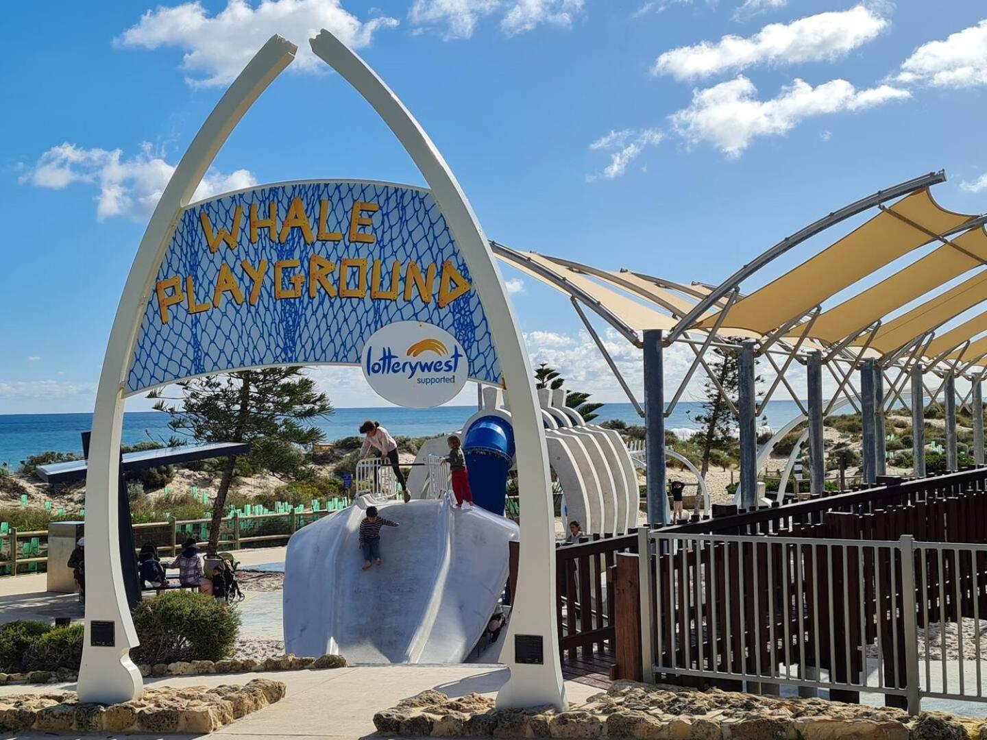 Scarborough Front - Shell * Perth