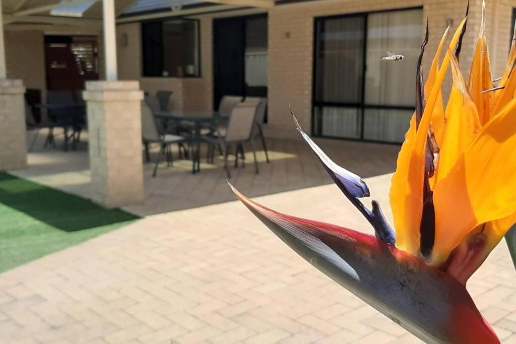 The Retreat - Central & Quiet Location - Cockburn Central Holiday home