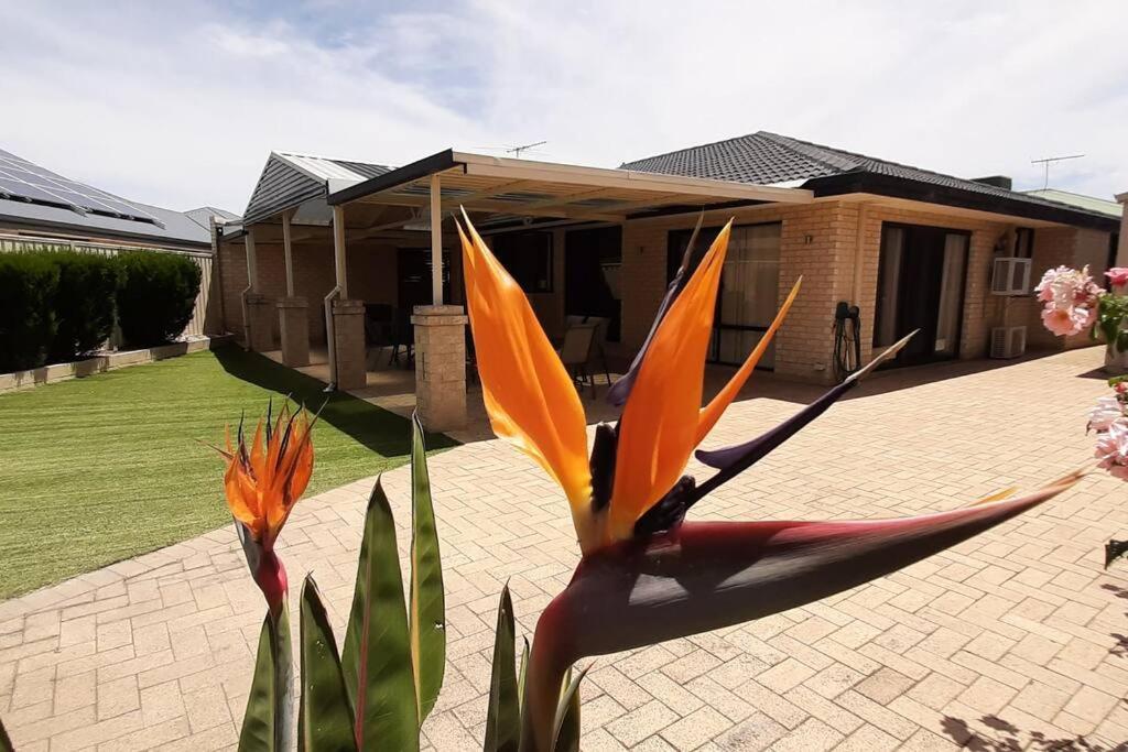 The Retreat - Central & Quiet Location - Cockburn Central Holiday home