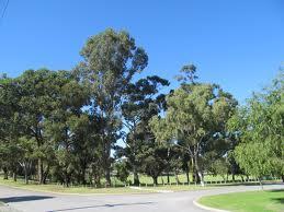 Holiday home Park View Holiday Getaway