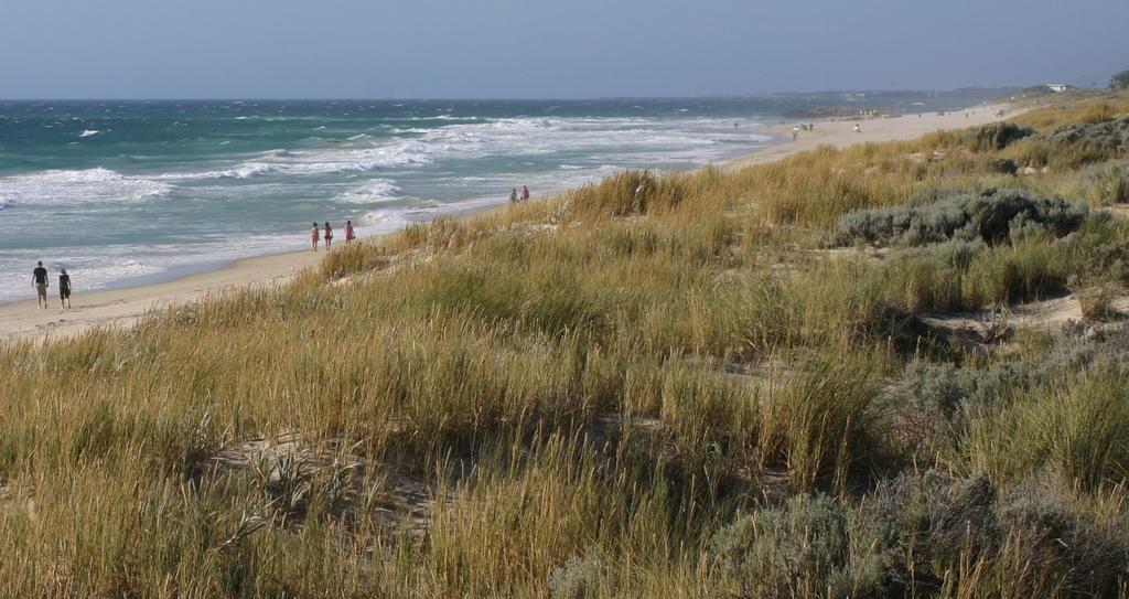 Scarborough & Absolutely Beachfront Apartment