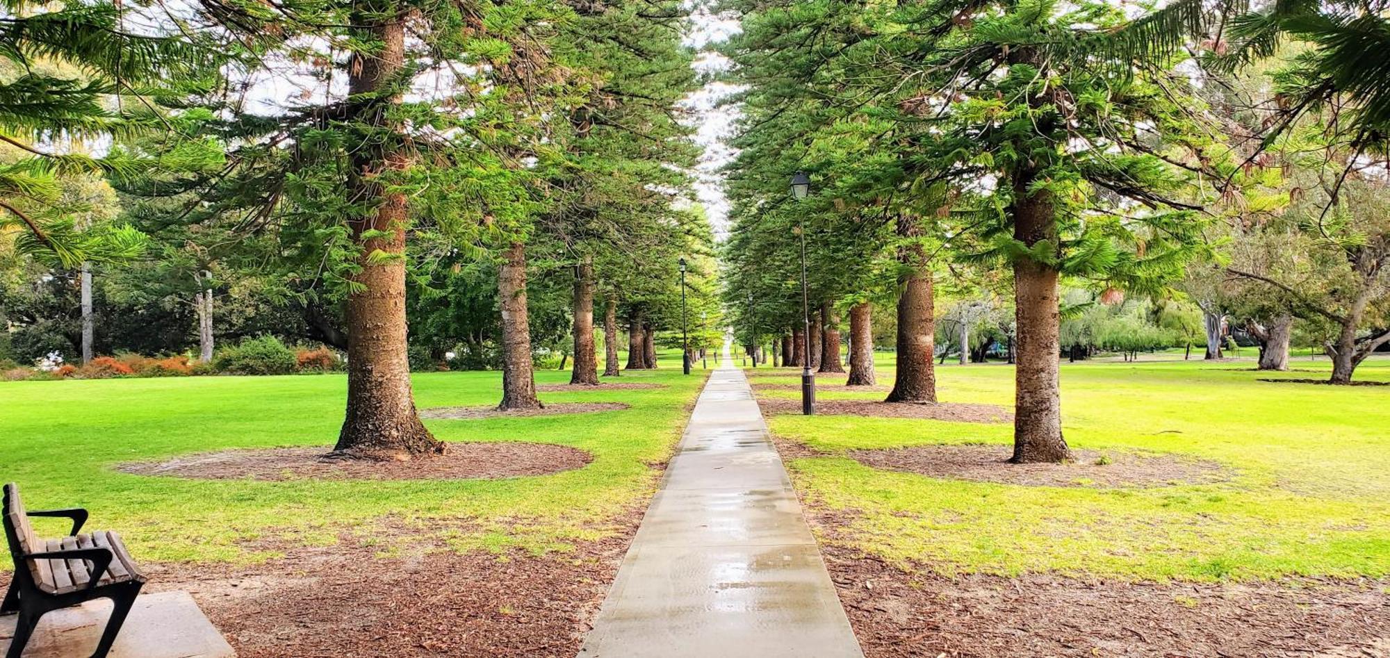 Quaint & Tranquil Subiaco 1 Bedroom Perth