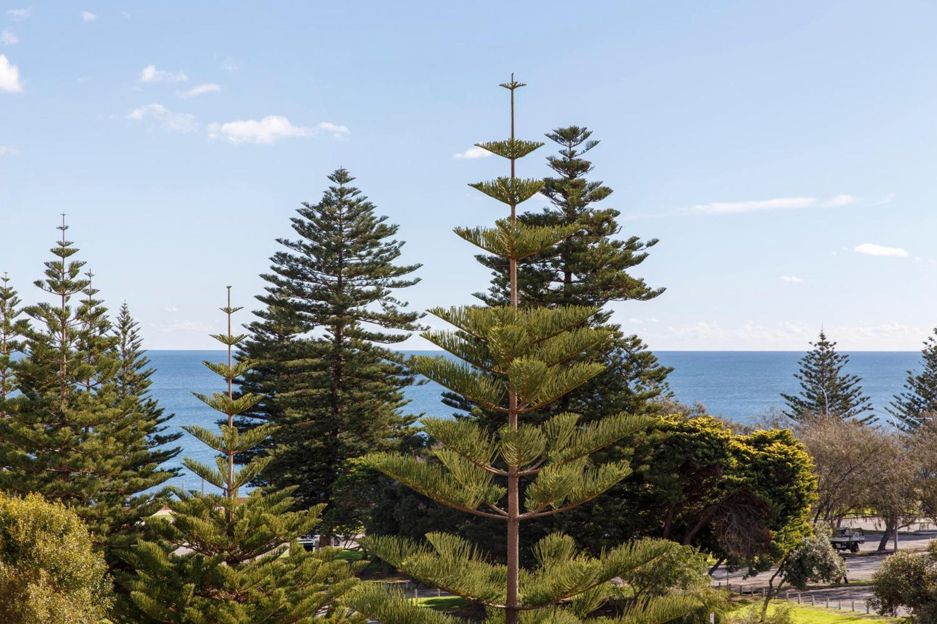 Cottesloe Seaside Bliss Apartment *