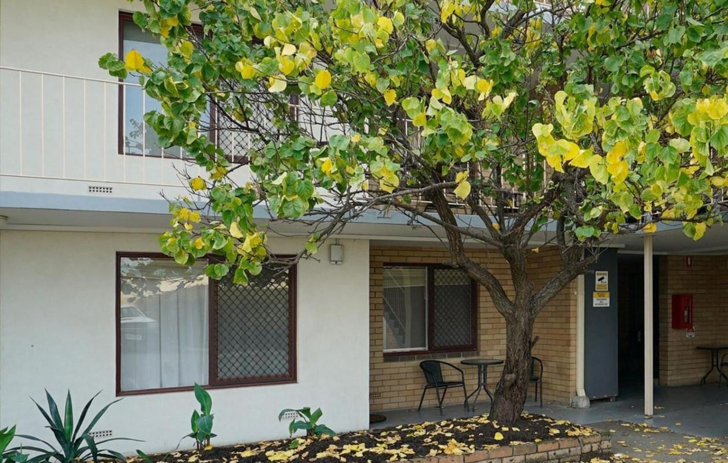 Rivervale Cosy Stunner Sleeps 2 Apartment