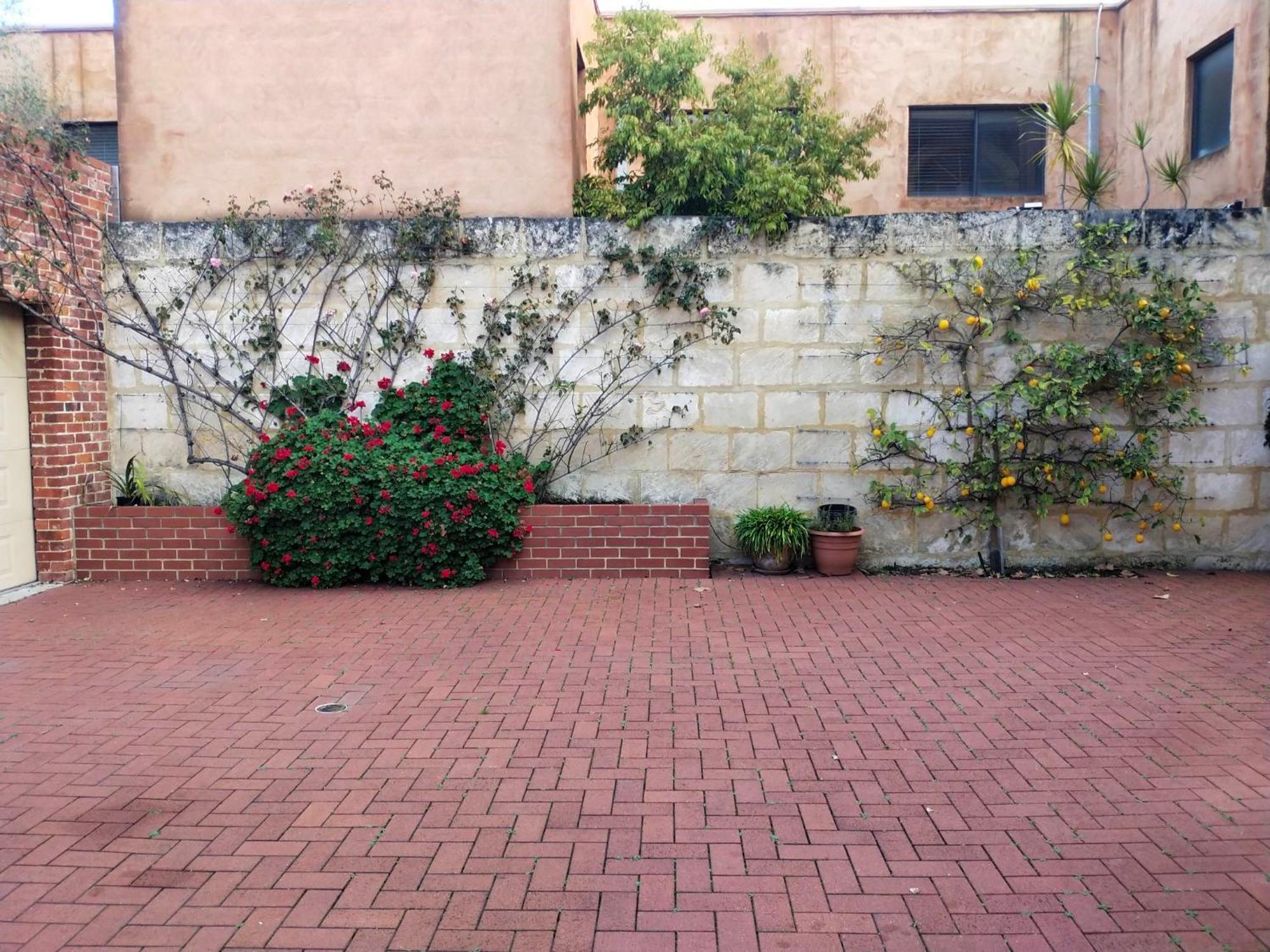 Beautiful & Peaceful Mansion-24 Hour Check In Guest house *
