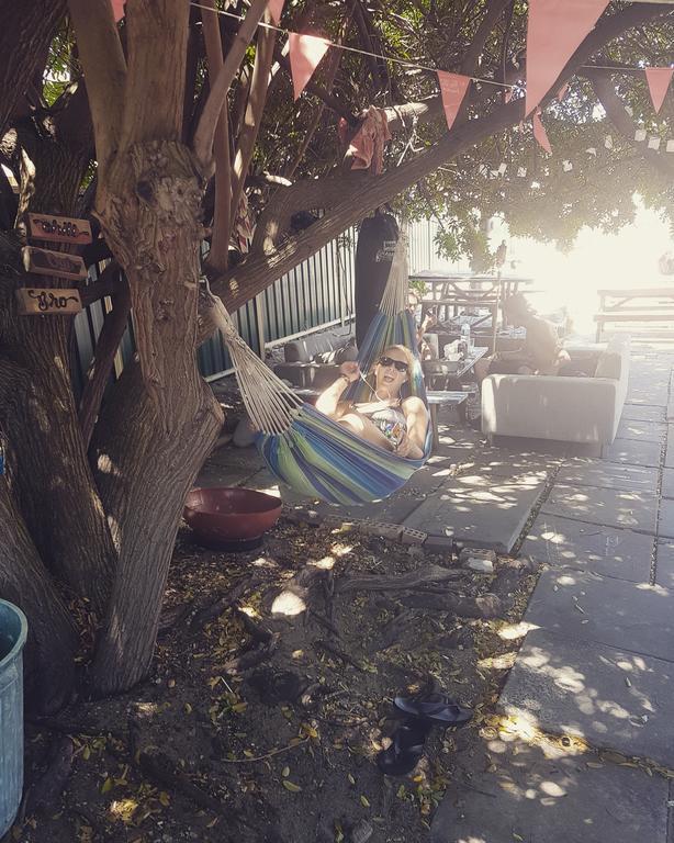 Planet Backpackers Hostel *