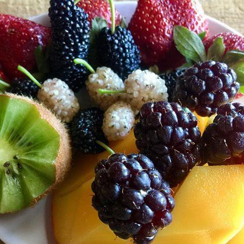 Bed & Breakfast Kellers Perth