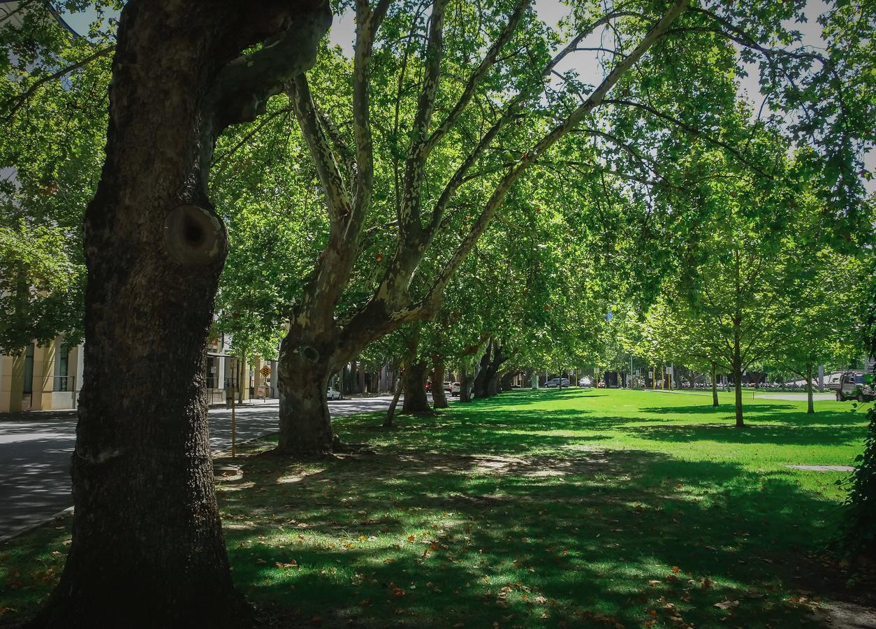Homely Kings Park * Perth