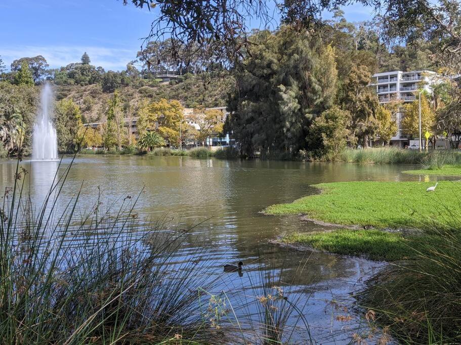 Apartment & Lakeside With Free Parking, Pool And 10 Mins Walk Into The Perth