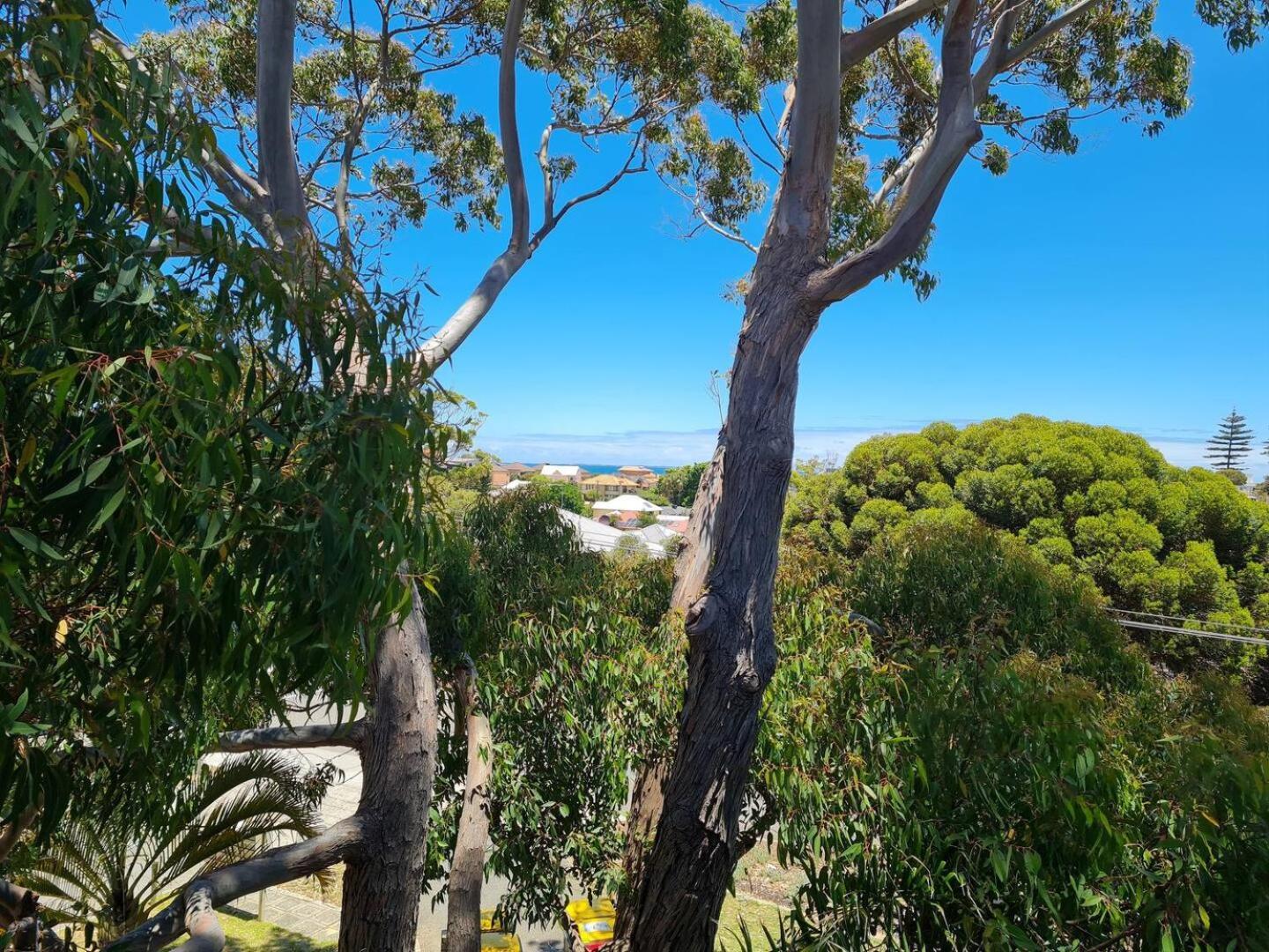 Summer Breeze - Holiday Or Business Apartment Apartment