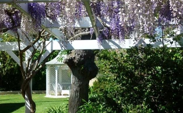 Bed & Breakfast The Hollies 4*
