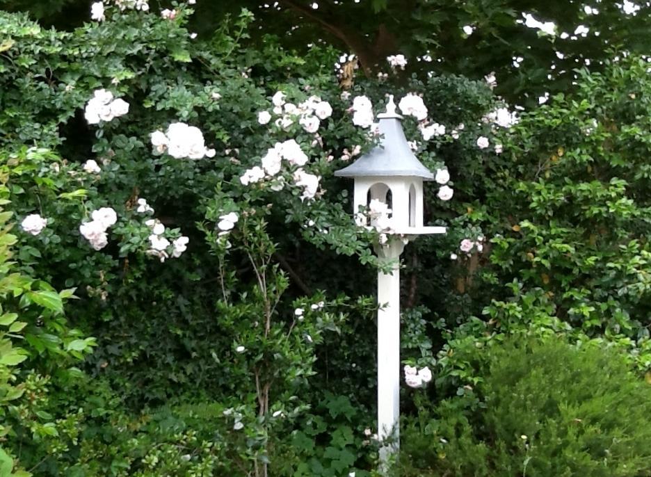 Bed & Breakfast The Hollies 4*